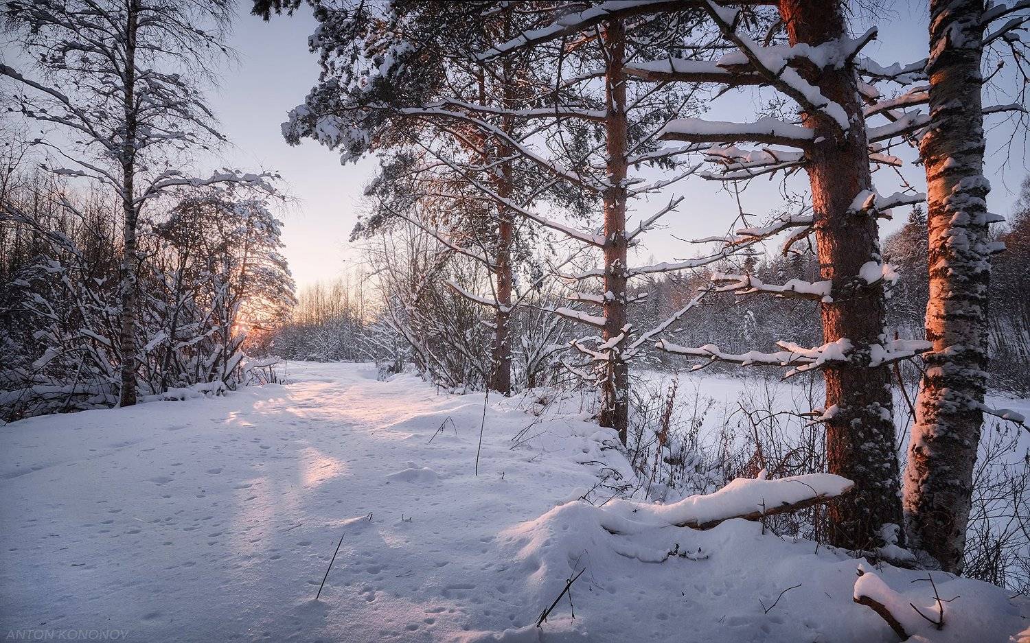 , Антон Кононов