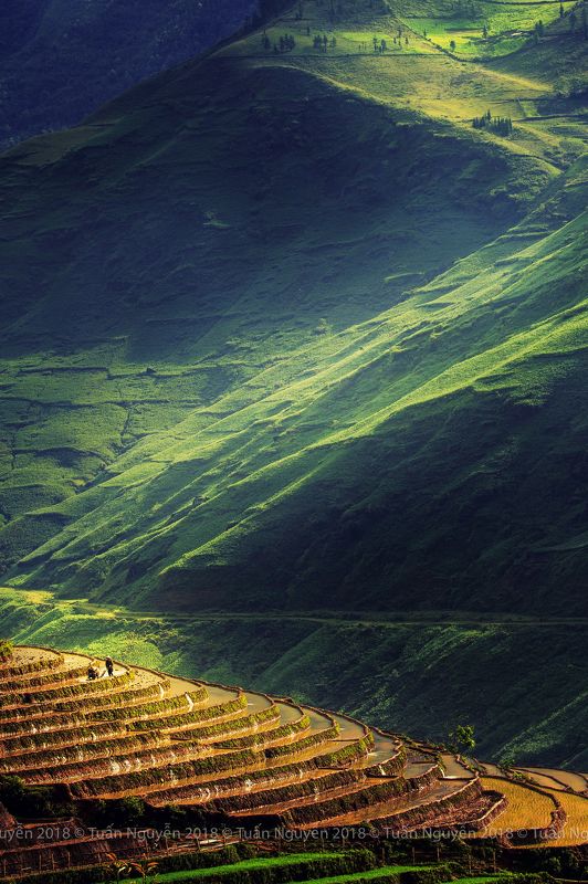 Plowing the terraces фото превью