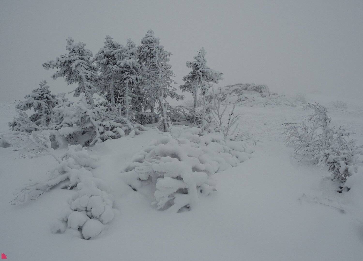 #ежъ #таганай #olympus_em1_markii #12_40mm, Осипов Ёжъ Александр