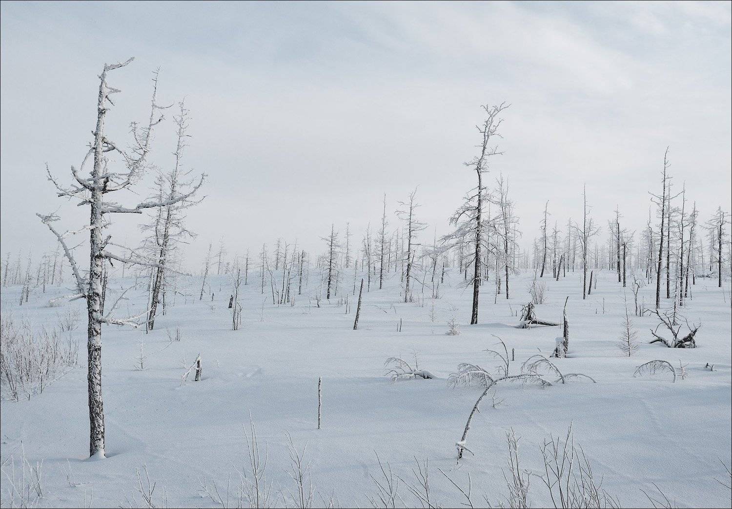 , Роман Чудинович