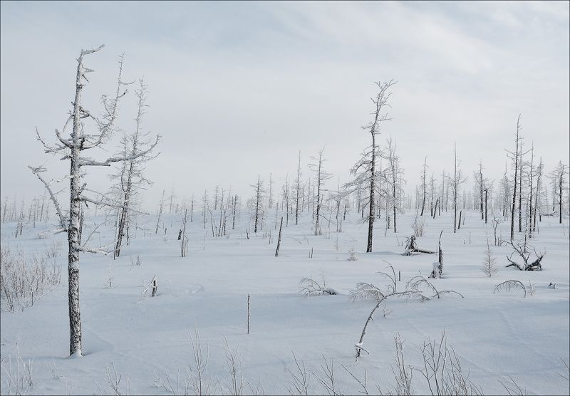 Северная пустыня фото превью