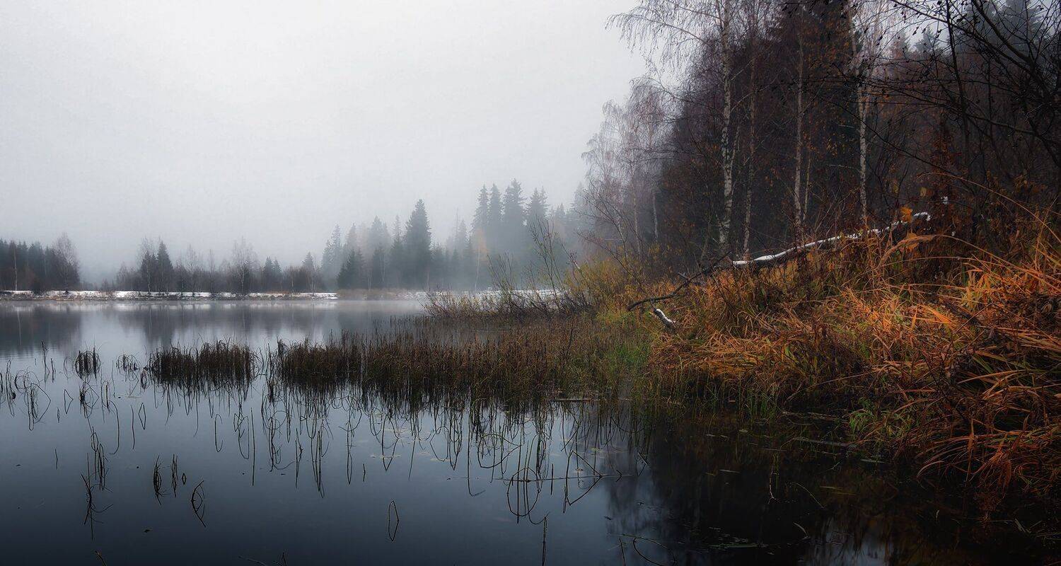 , Алексей Никонов