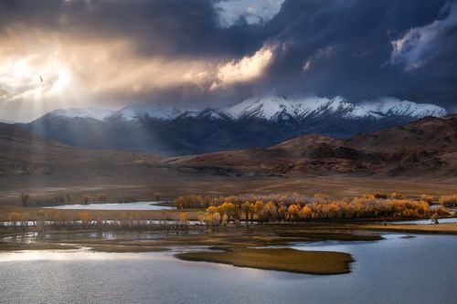 Сквозь лучи