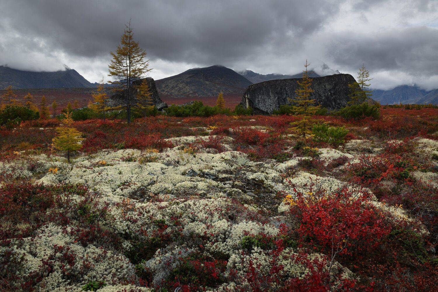 , Максим Евдокимов (phototourtravel.ru)