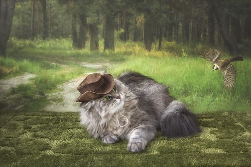 Диана охотница или Масяня на паляванне