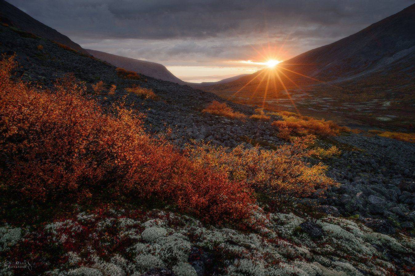 хибины, кольский полуостров, закат, осень, заполярье, тундра, Степаненко Ольга