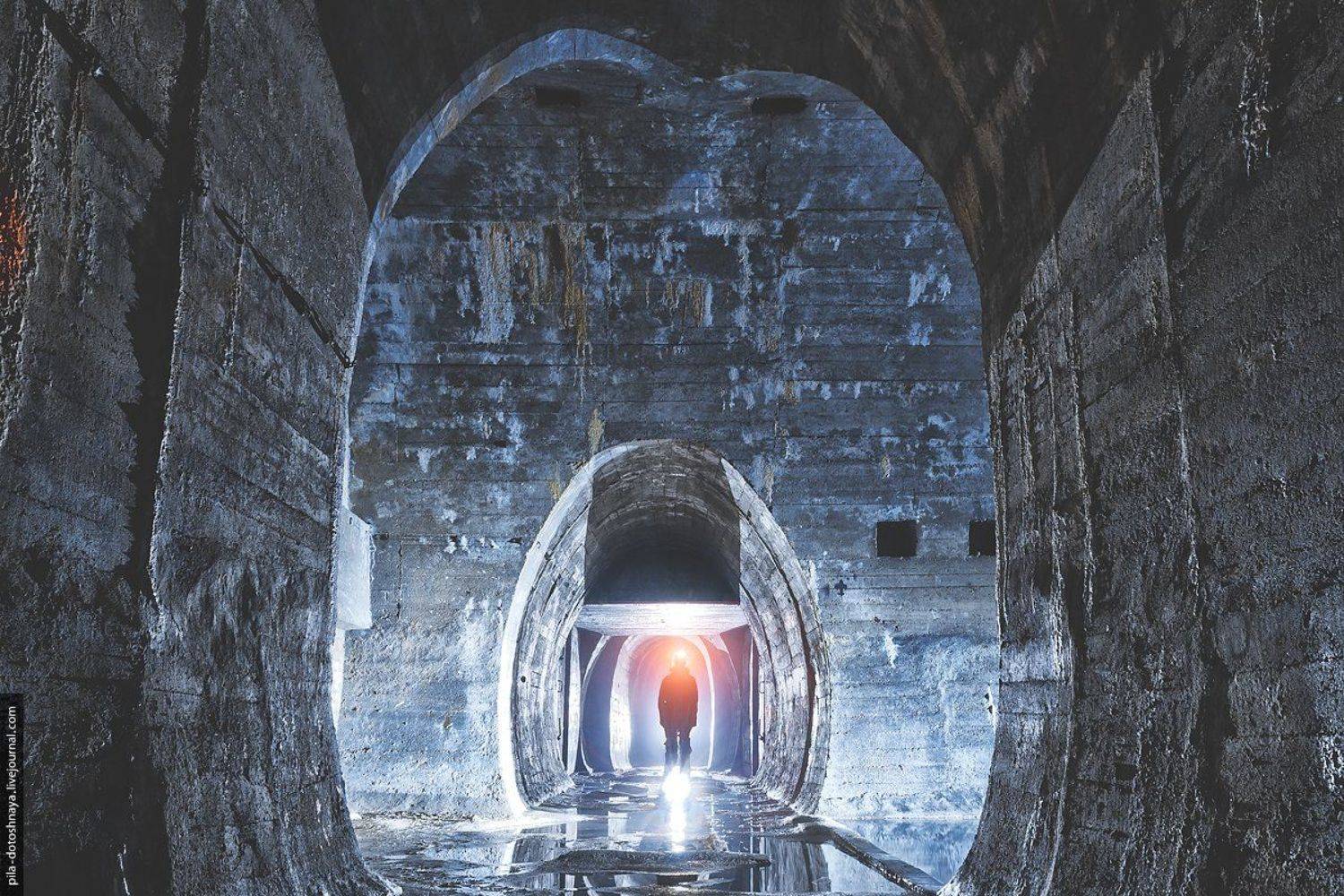 , Анна Аринова