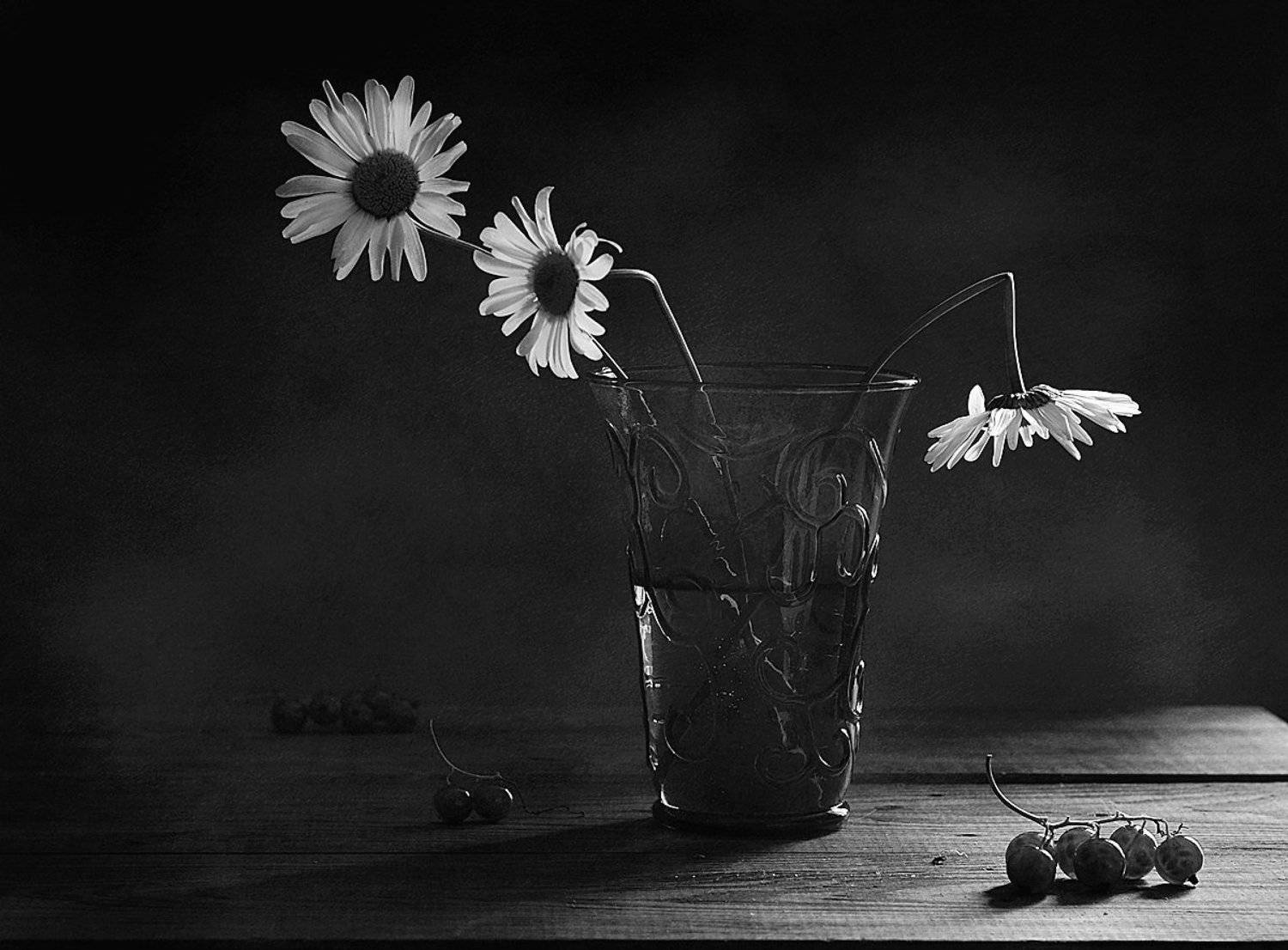 натюрморт,ромашки, Наталия