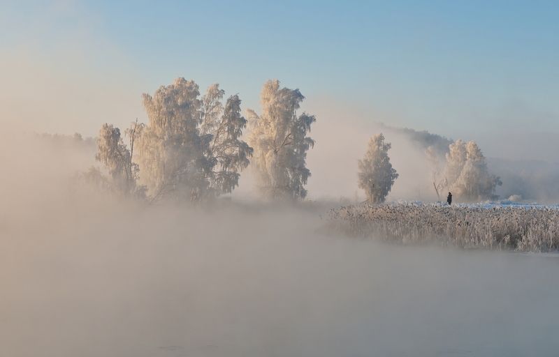 утро, туман, солнце, свислочь Холодное утро фото превью
