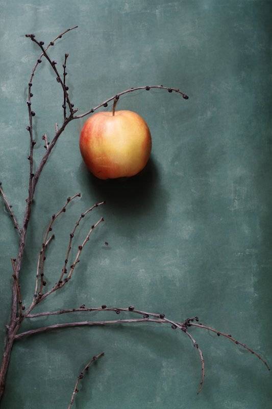 натюрморт, яблоко, зима, Курочкина Диана