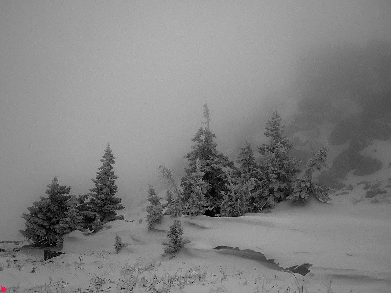 #ежъ #таганай #olympus_em1_markii #12_40mm, Осипов Ёжъ Александр