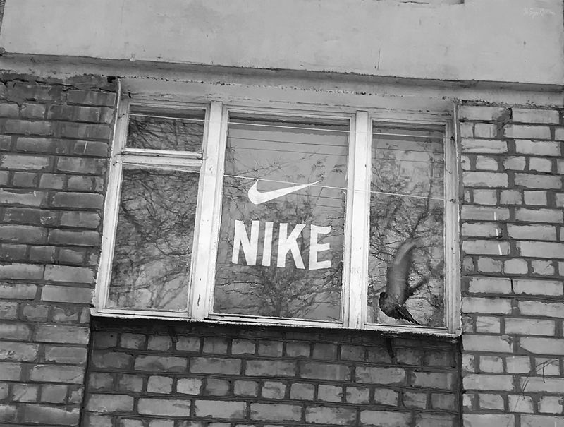 улица,город,дом,окно,птица,голубь *** фото превью