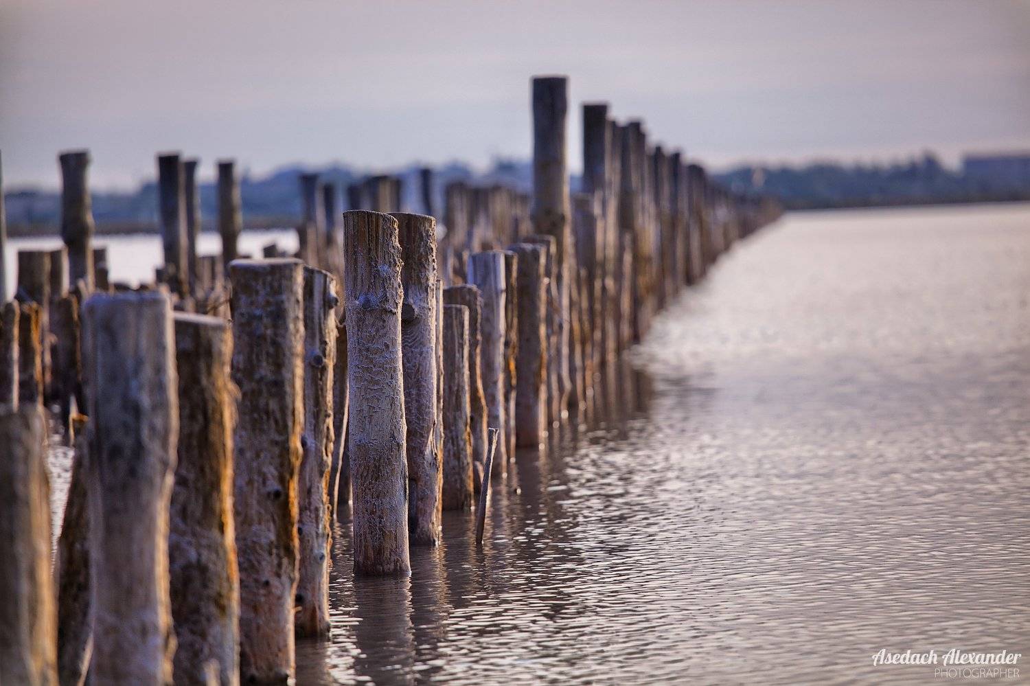 крым, евпатория, лето, озеро, соль, цвет, утро, рассвет, Александр Аседач