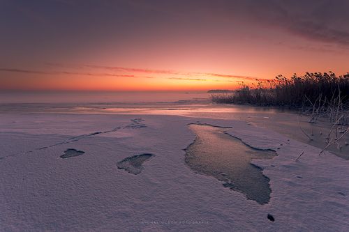 Dawn