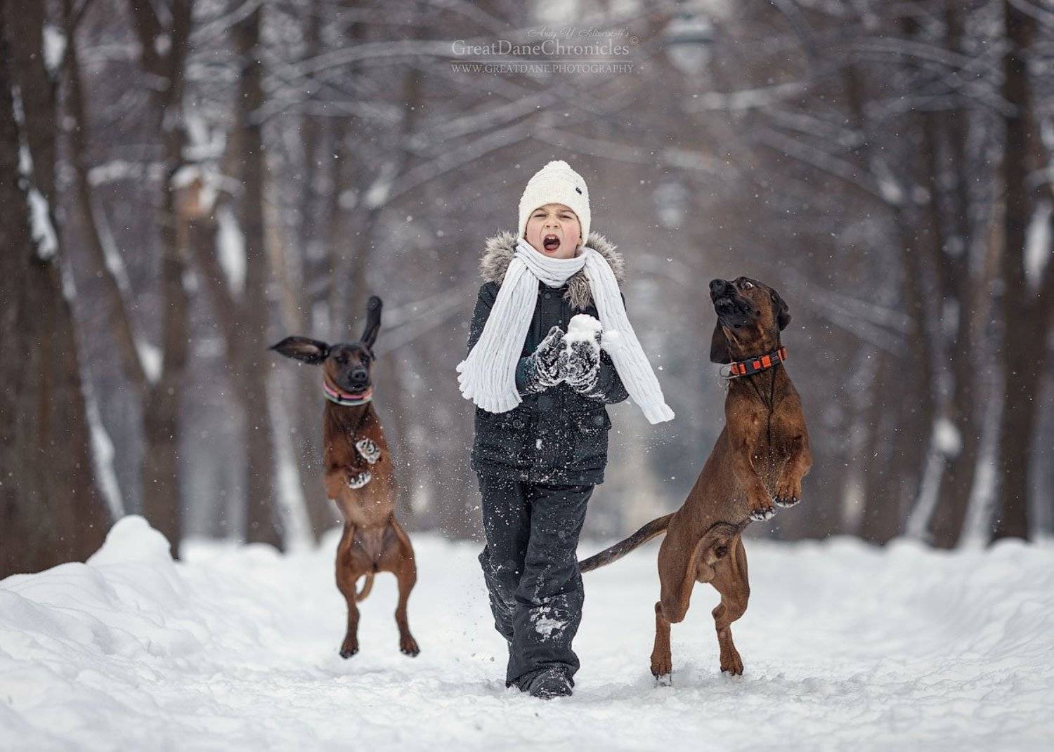 , Андрей Селиверстов
