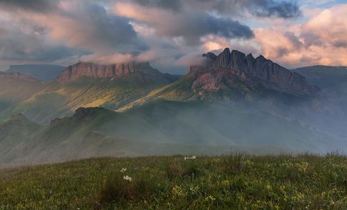 Живущие в облаках