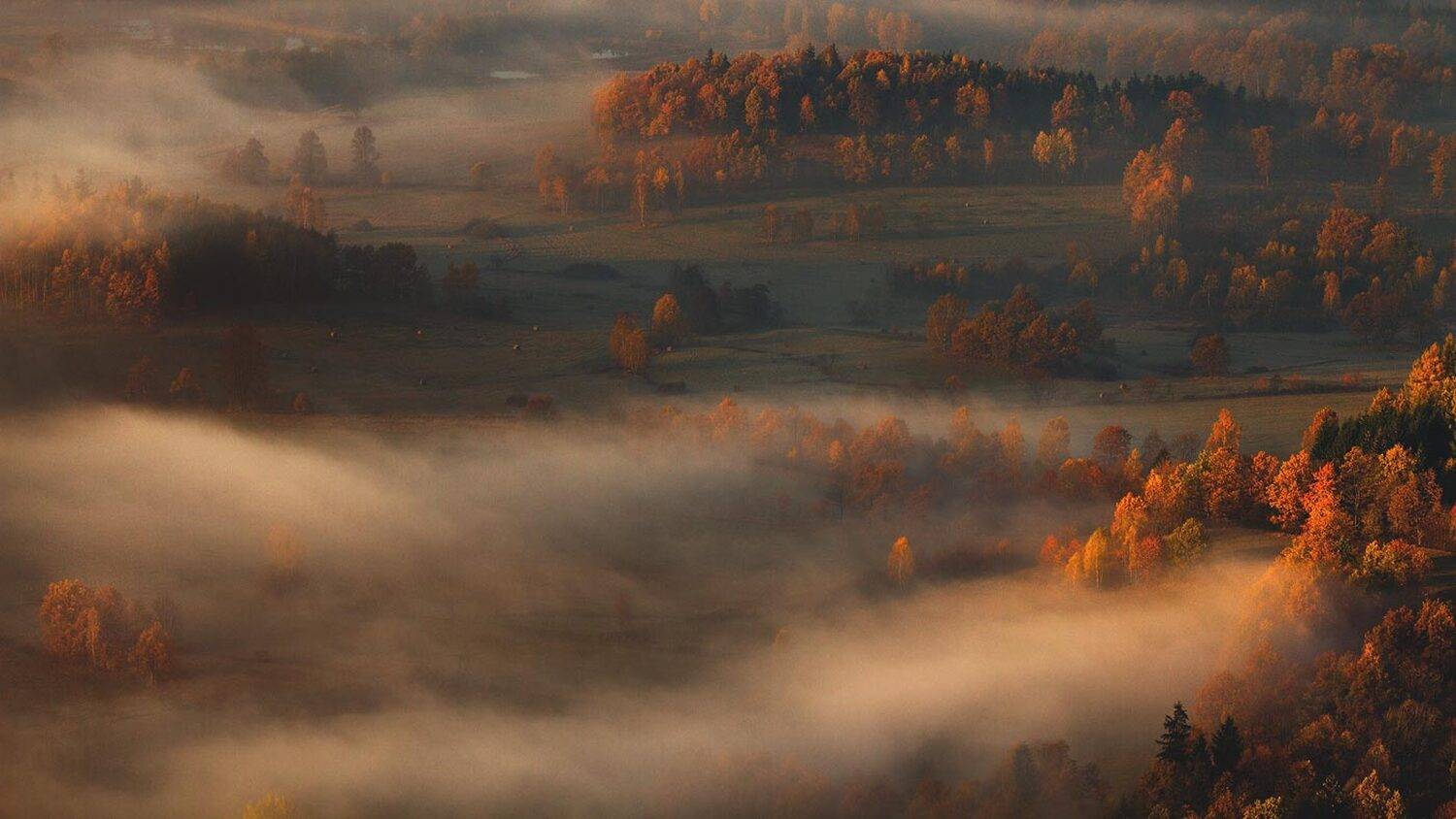 landscape,canon,mist,light,autumn, Iza i Darek Mitręga