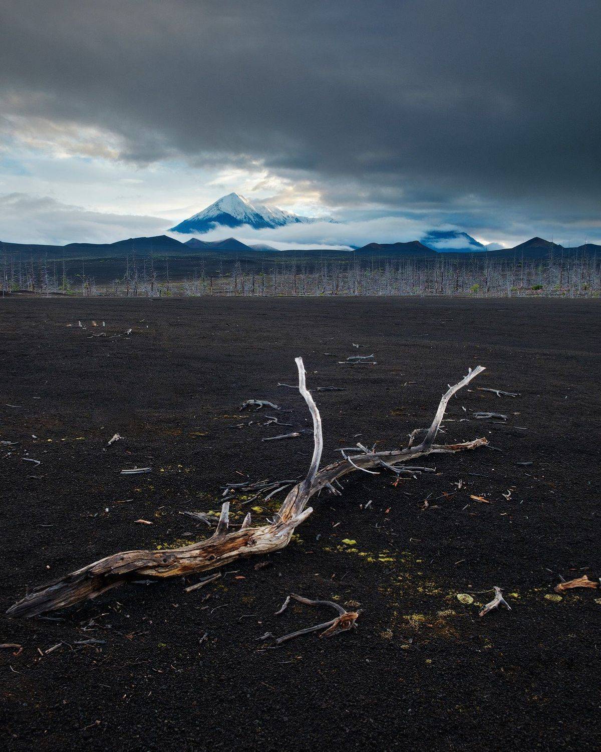 россия, камчатка, дальний восток, вулкан, пейзаж, лес, лава, пепел, дерево, рассвет, Оборотов Алексей