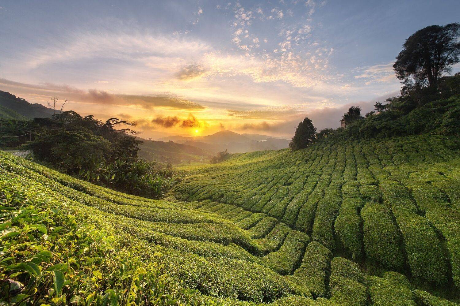 , Михаил Туркеев