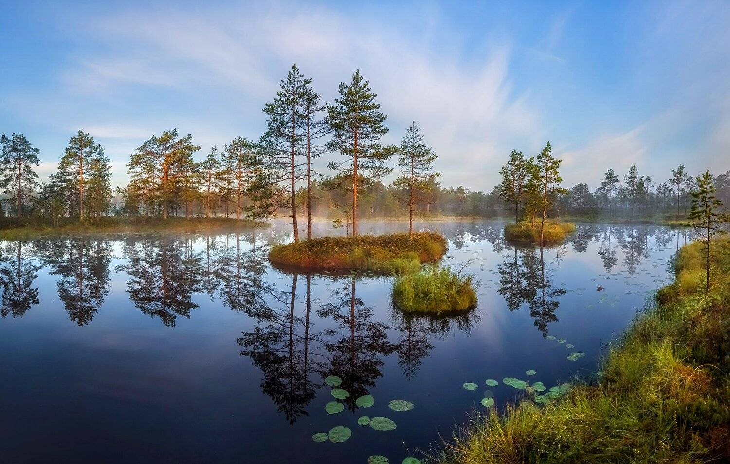 фототур, лето, ленинградская область, деревья, сосна, остров, озеро, рассвет, отражение,  кувшинки, листья, облака,, Лашков Фёдор