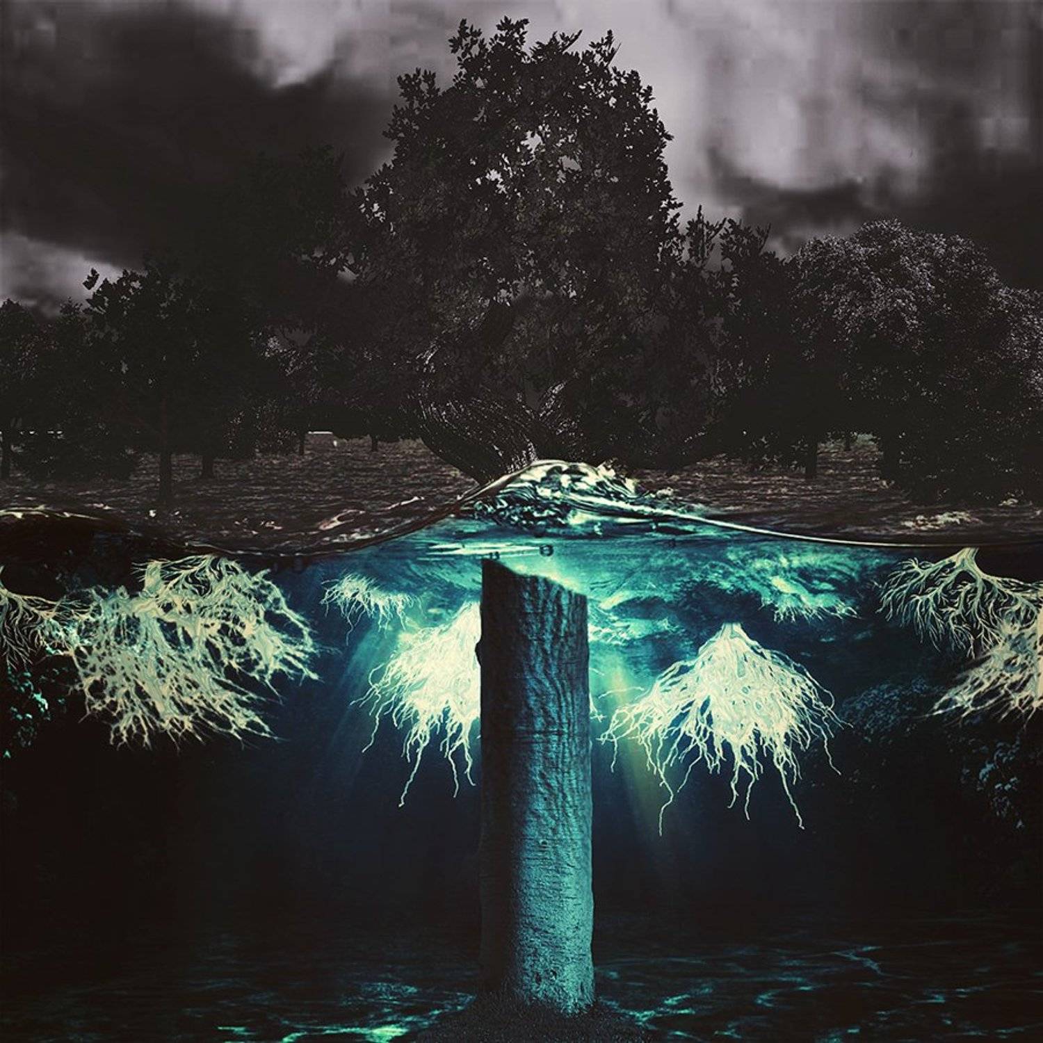 , Иван Манкевич