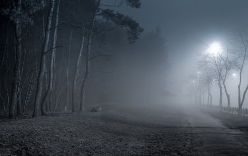 Туман холодный обнимает, святую тишину храня