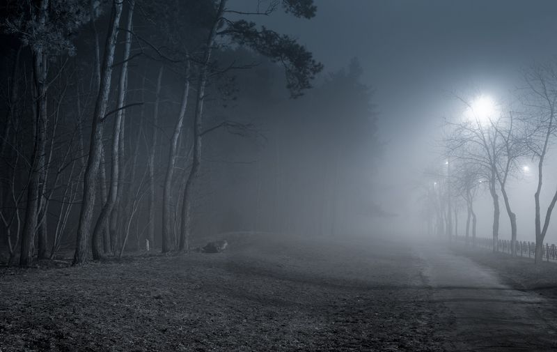 город, туман, ночь, зима, февраль Туман холодный обнимает, святую тишину храня фото превью