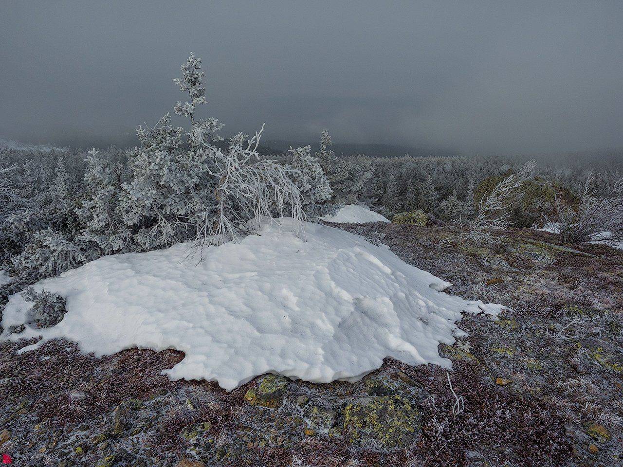 #ежъ #таганай #olympus_em1_markii #12_40mm, Осипов Ёжъ Александр