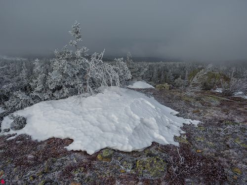 Последний сугроб