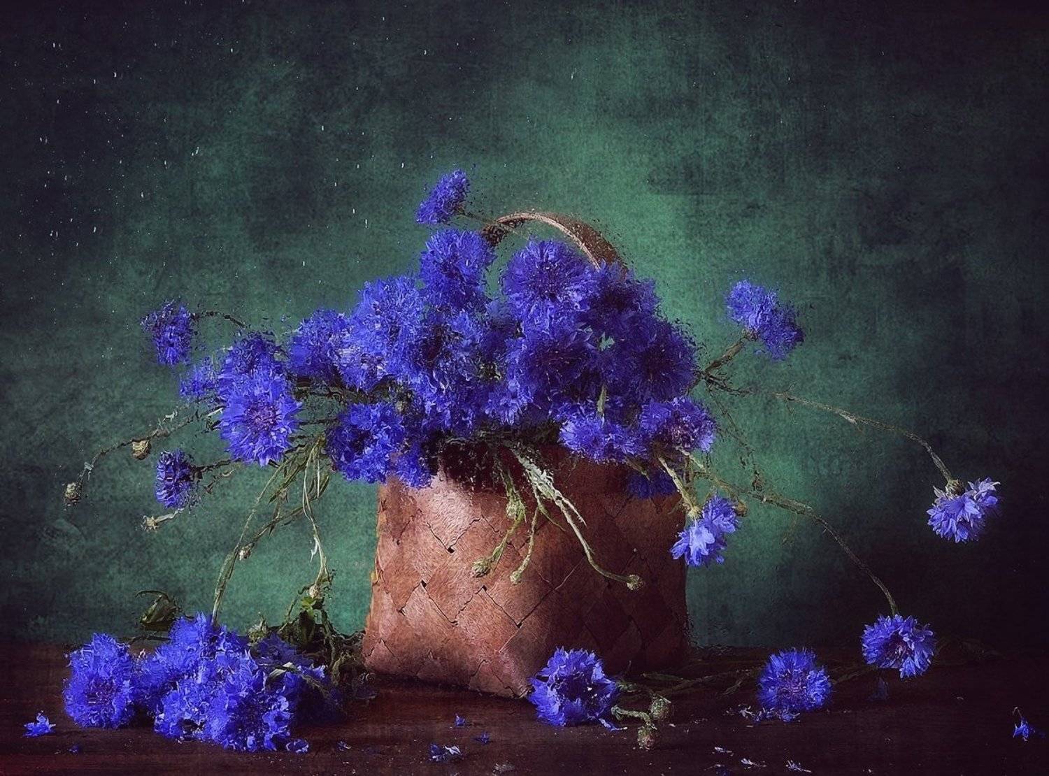 натюрморт,васильки,мокрое стекло, Наталия