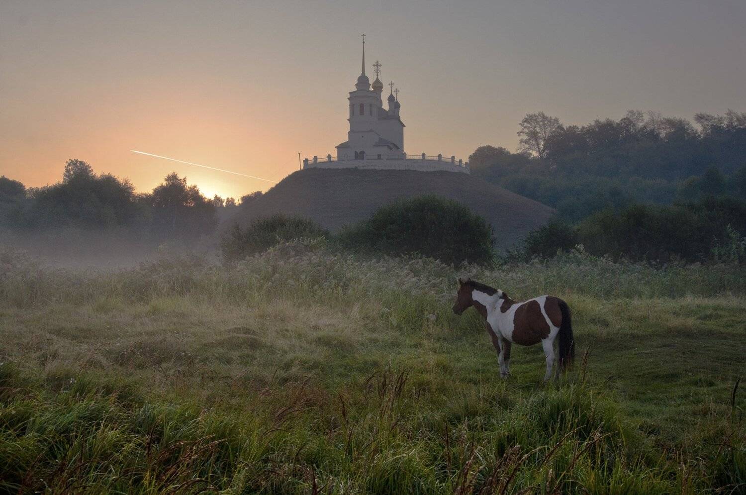 , Макеев Алексей