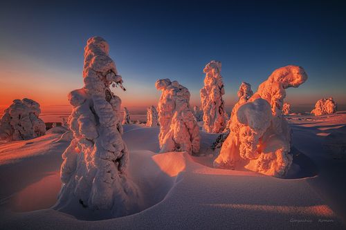 Вечерняя форма.