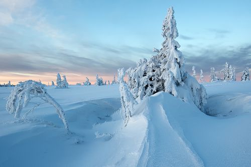 Karkonosze zimą.