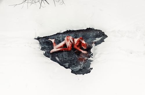 Heart of the forest