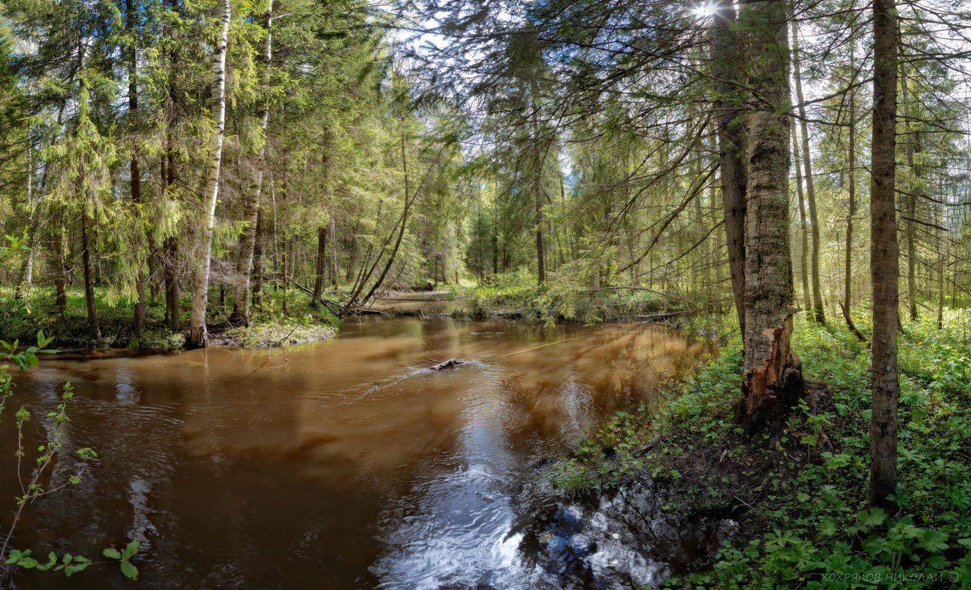 , Хохряков Николай