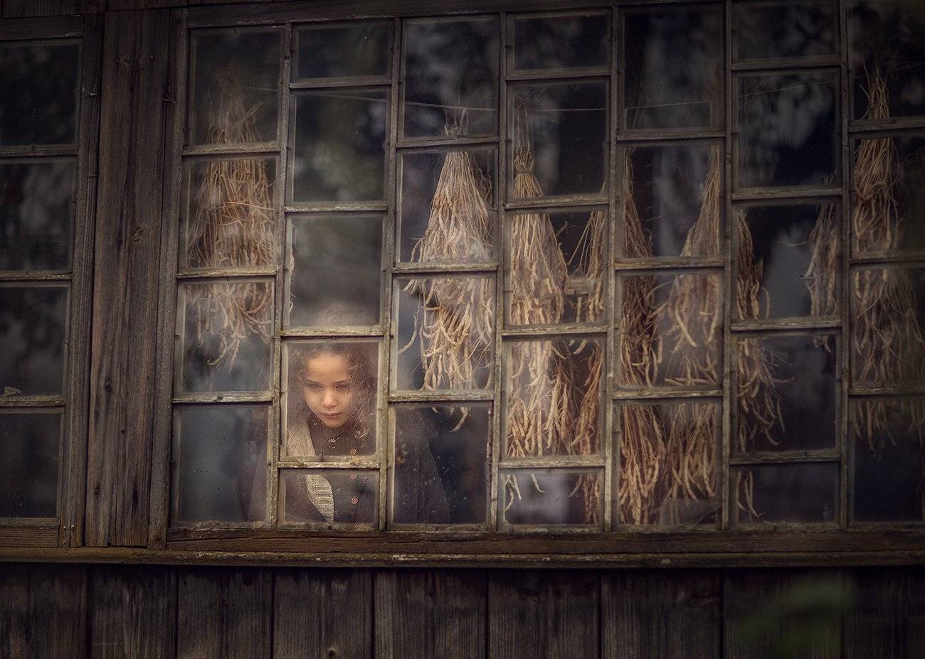 , Дарья Степанова