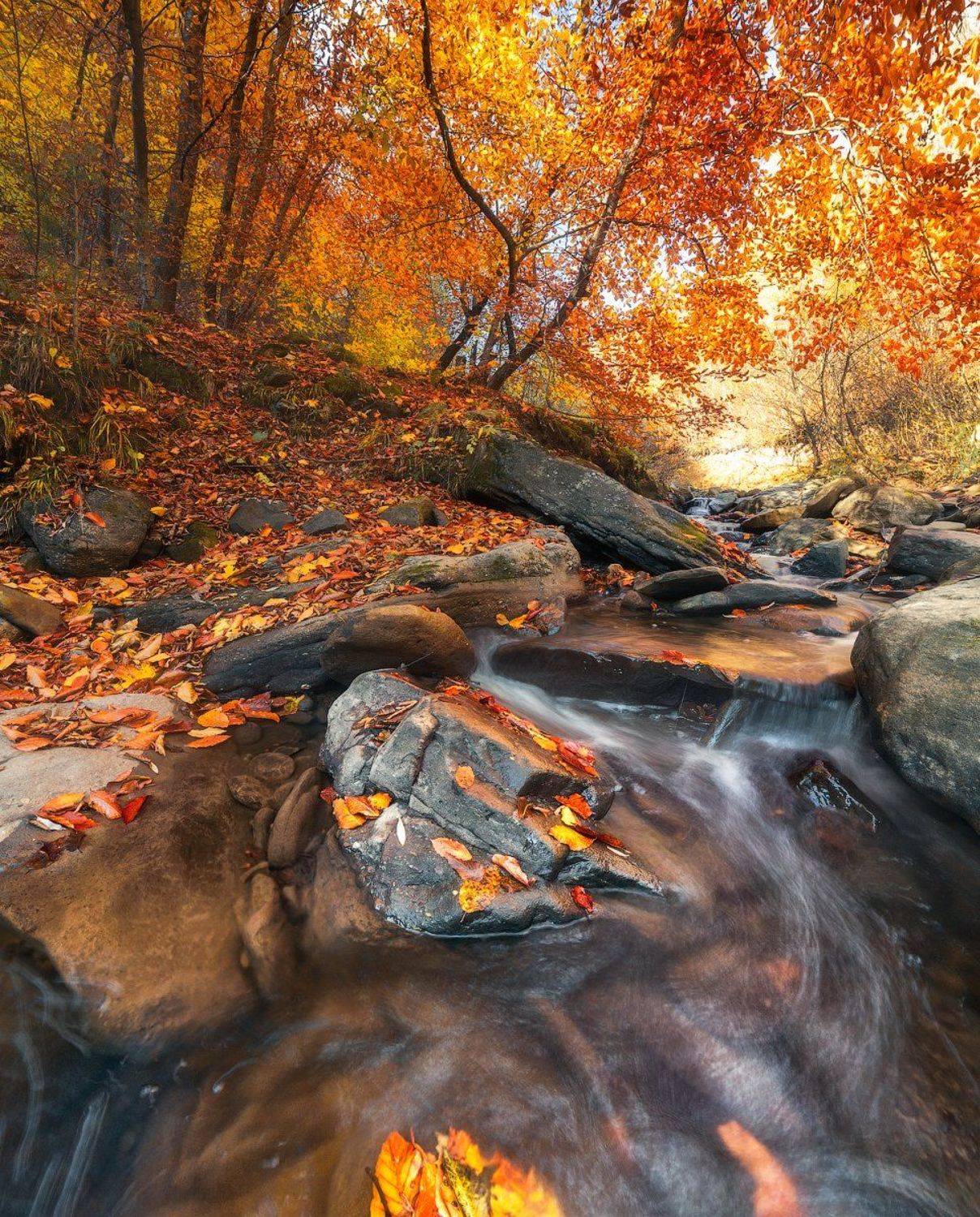 кавказ, карачаево-черкесия, Сергей Сутковой