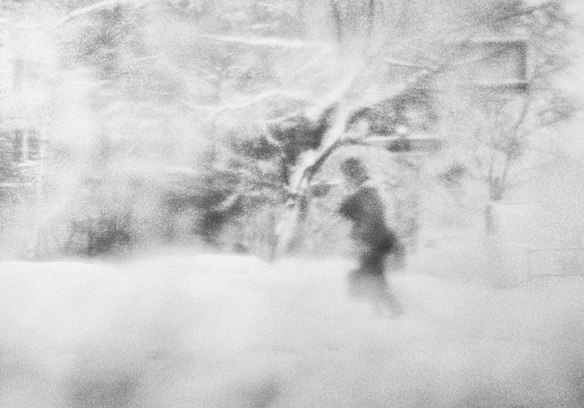 , Елена Лаврова