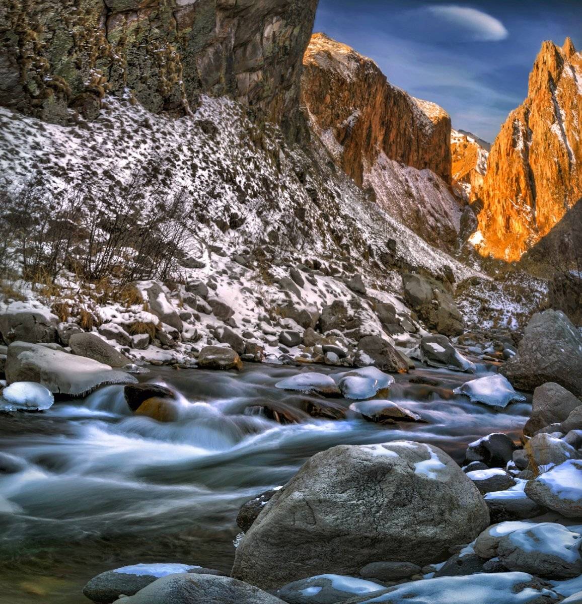 , Елена Брежицкая