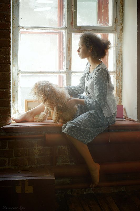 девушка, собака, окно, винтаж, ретро  фото превью