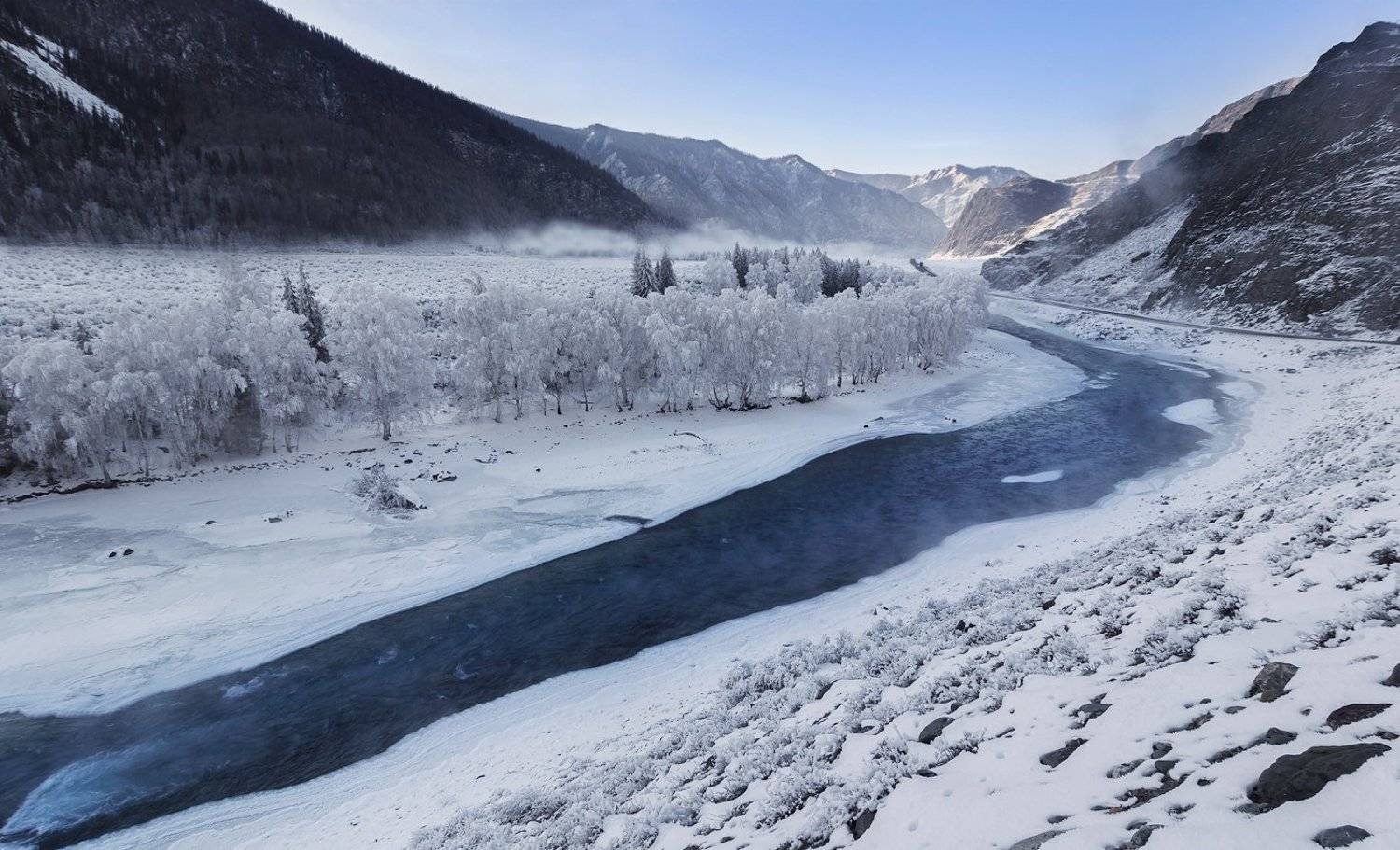 , Дмитрий Д.