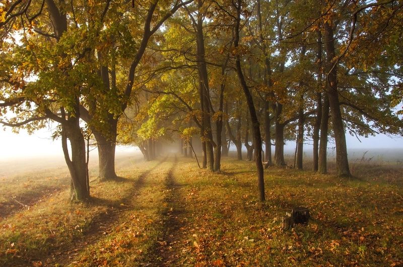 ... фото превью