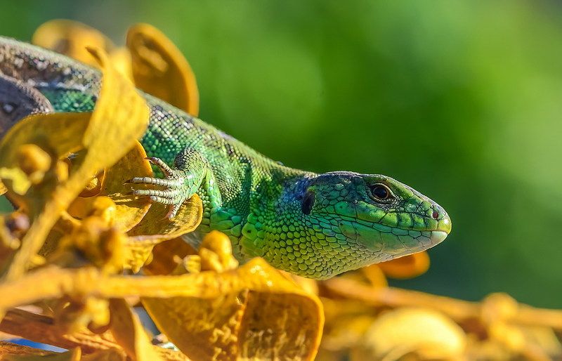 На свидание фото превью