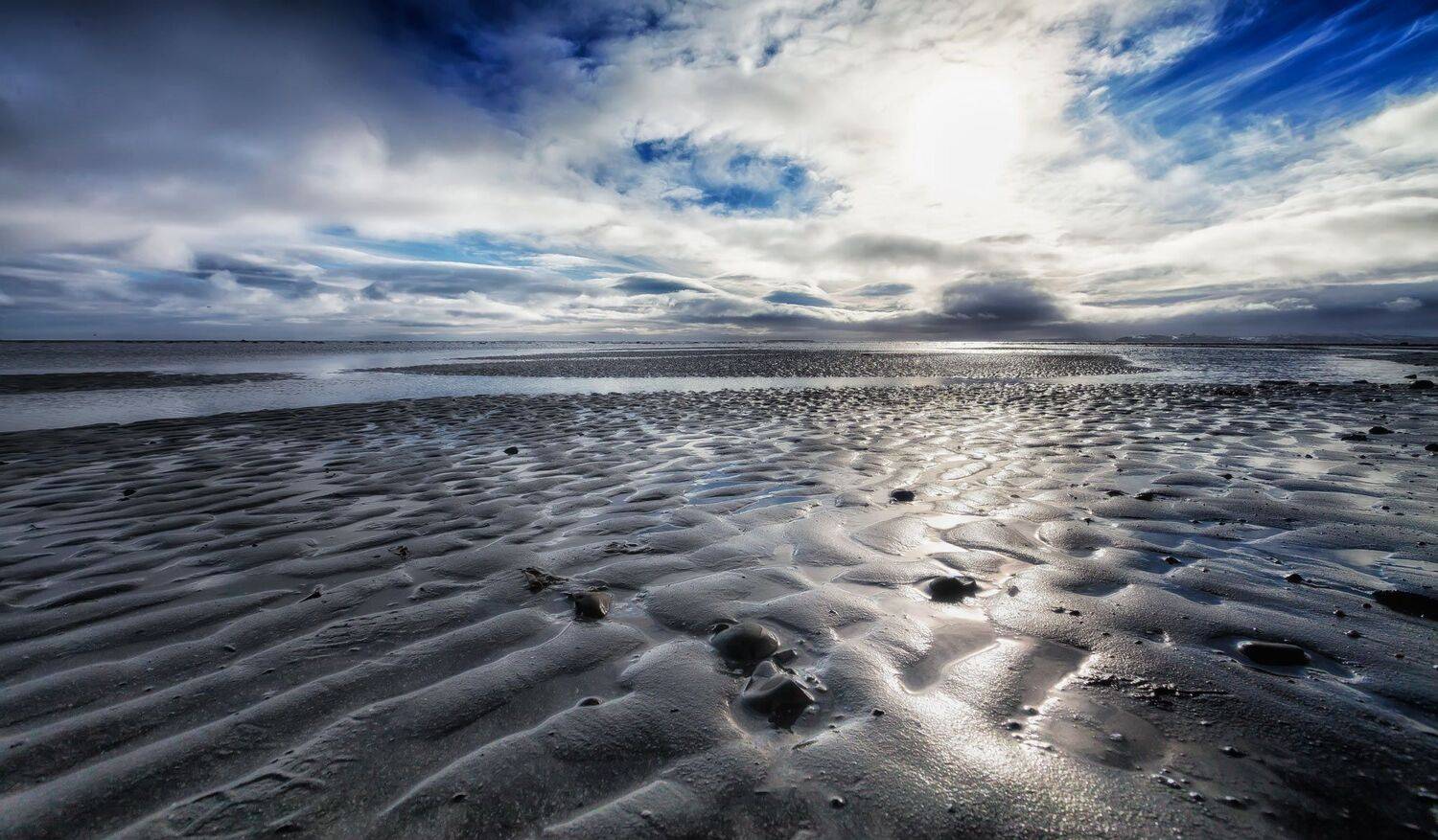 литораль, отлив, тихий океан, камчатка, остров беринга, Дмитрий Уткин