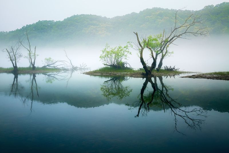 landscape Dreams of Green фото превью