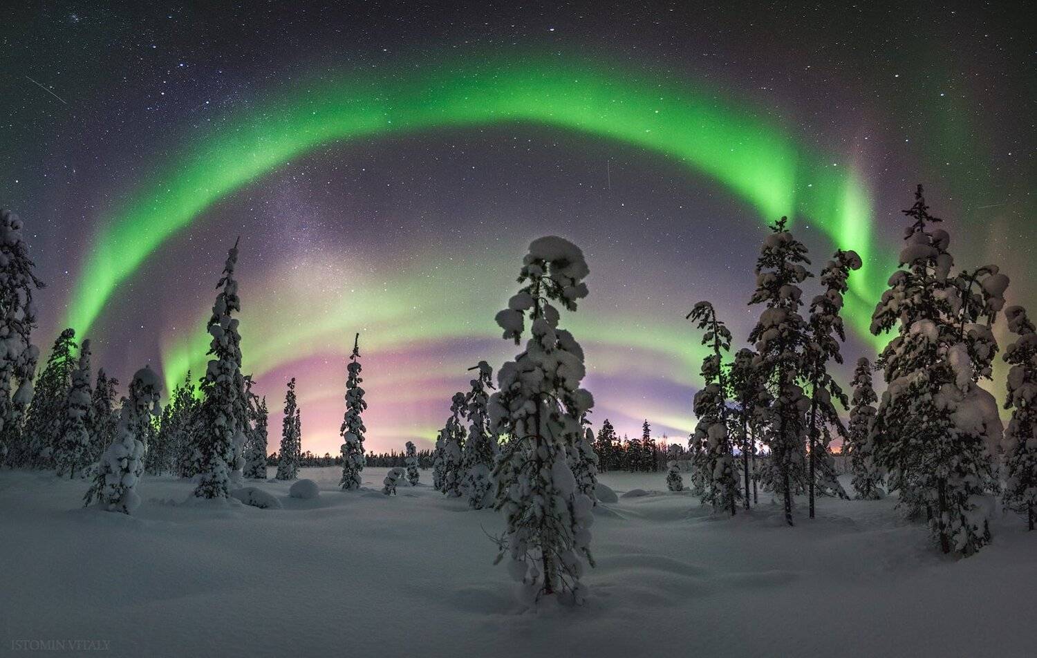 пейзаж,россия,лес,ночь,aurora,alerts,кольский,север,зима,сияние,панорама, Виталий Истомин