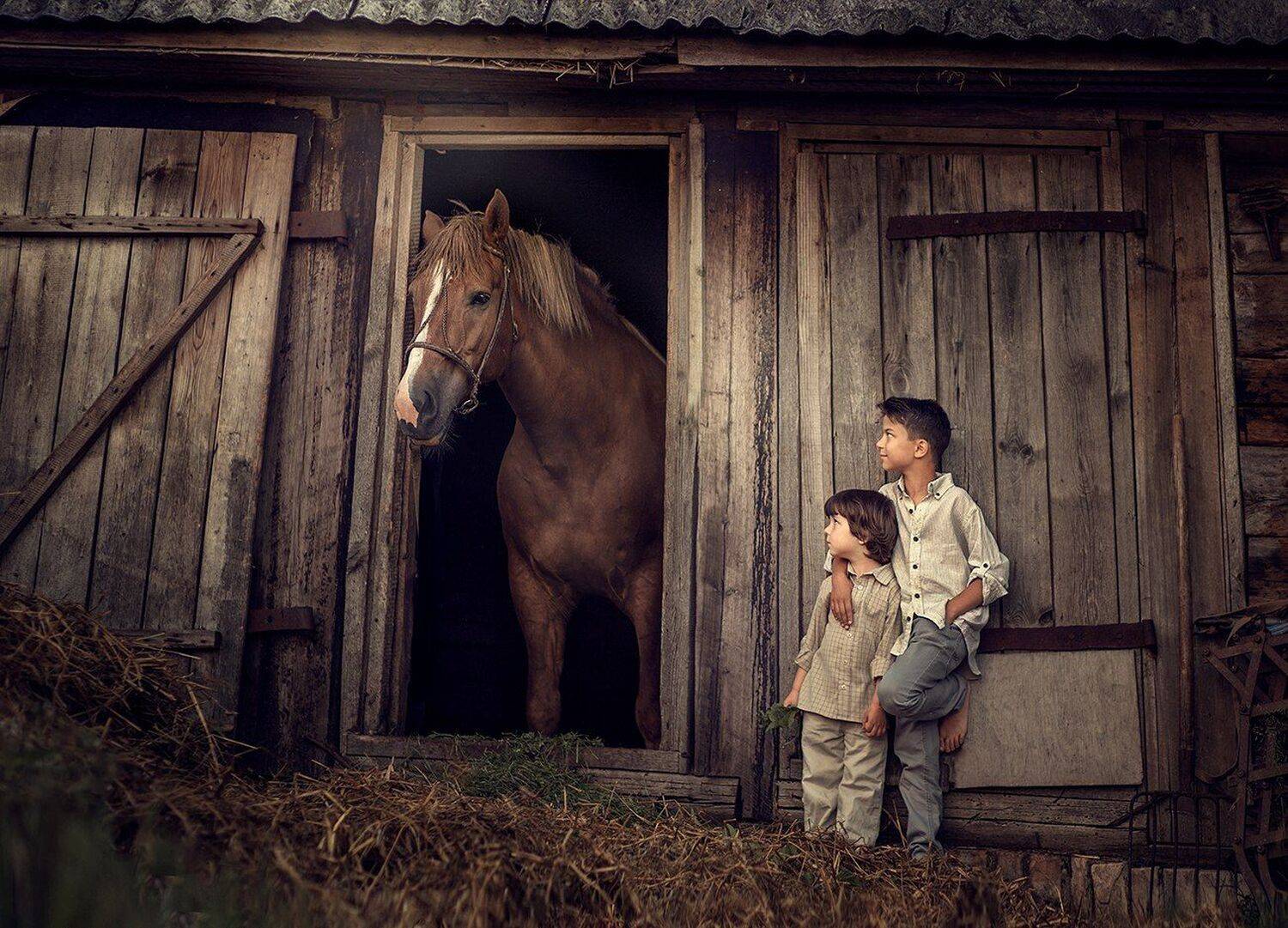 , Дарья Степанова