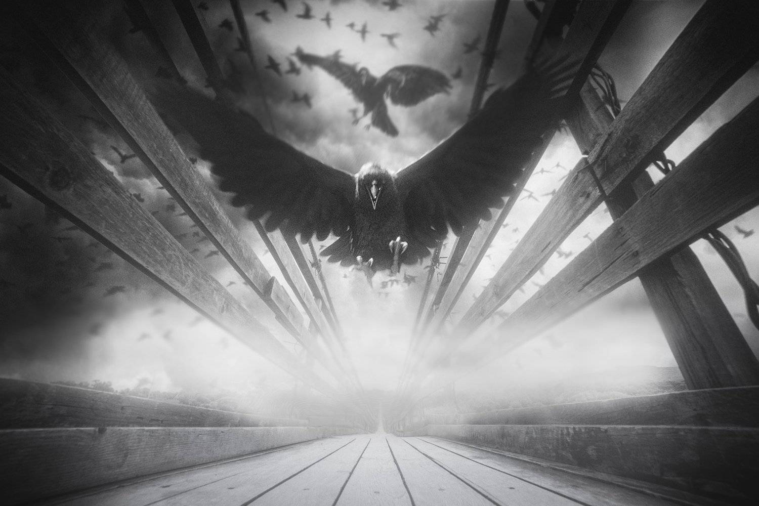 , Антон Шевченко