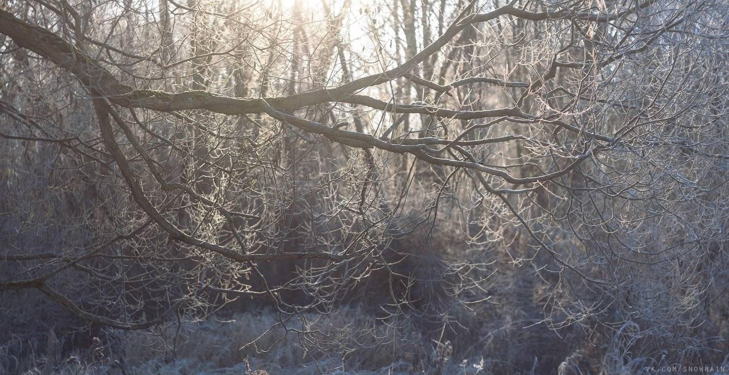 пейзаж, природа, облака, путешествия, travel, wildlife, nature, sky, landscape, sunrise, рассвет, Snowrain