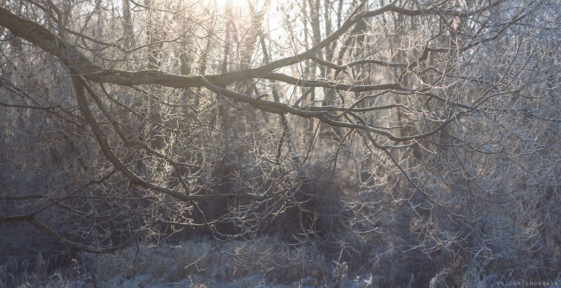 пейзаж, природа, облака, путешествия, travel, wildlife, nature, sky, landscape, sunrise, рассвет Морозное утро фото превью